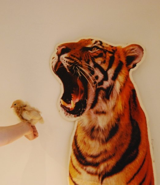 Death of a paper tiger reflections on Class War